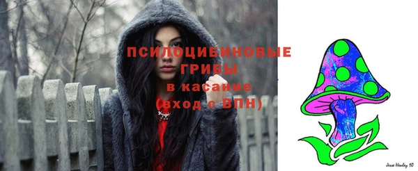 кристаллы Богородск