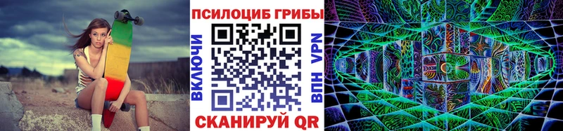 Псилоцибиновые грибы мицелий  цена наркотик  Нижний Новгород 